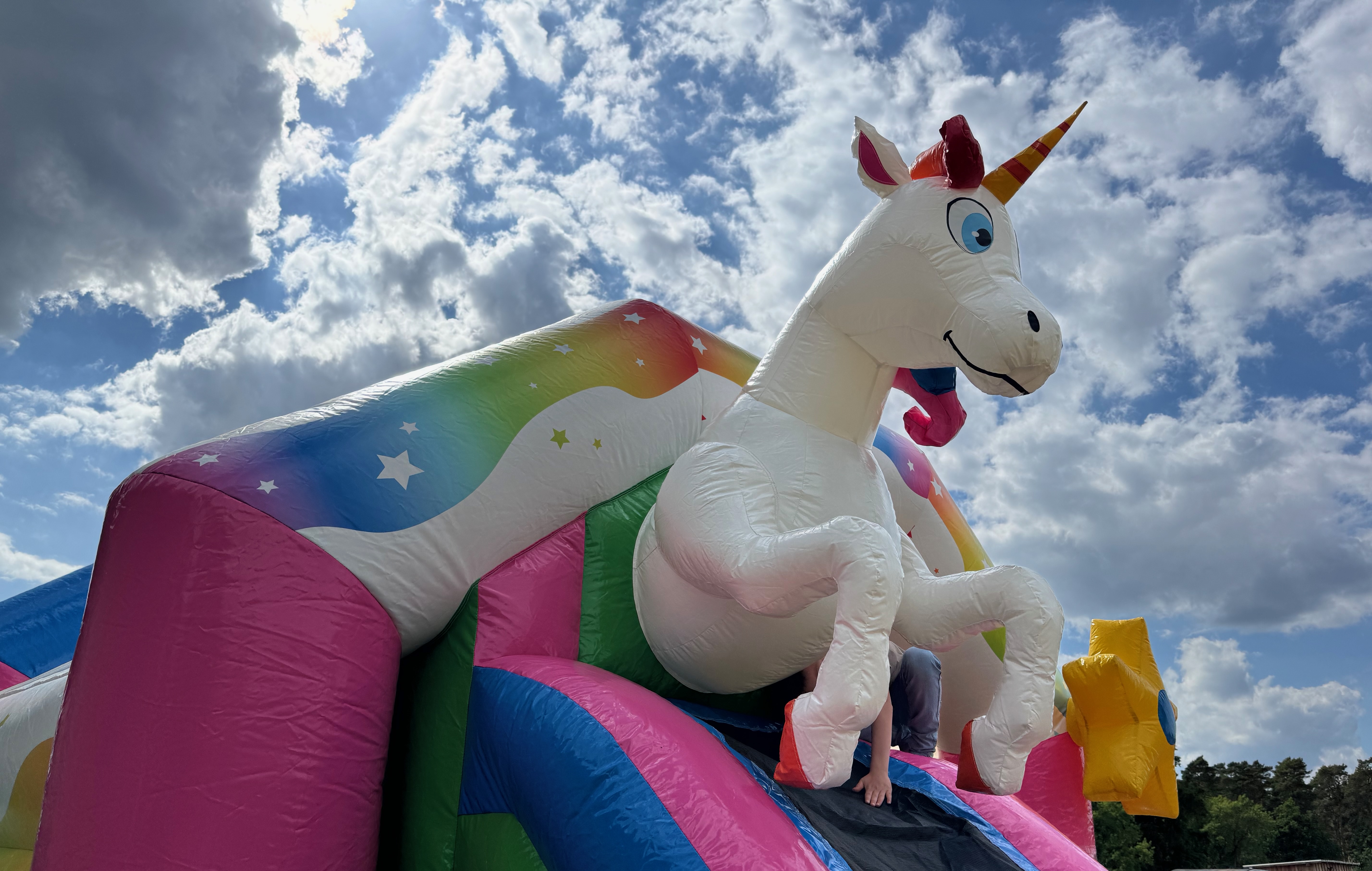 Einhorn Hüpfburg Bild 2